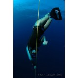 Waterway Model 2 Training Monofin